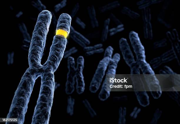 Marked Chromosome Stock Photo - Download Image Now - Chromosome, Sexual Issues, DNA