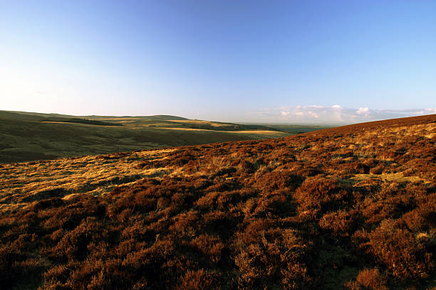 istock Barren moorland 182175261