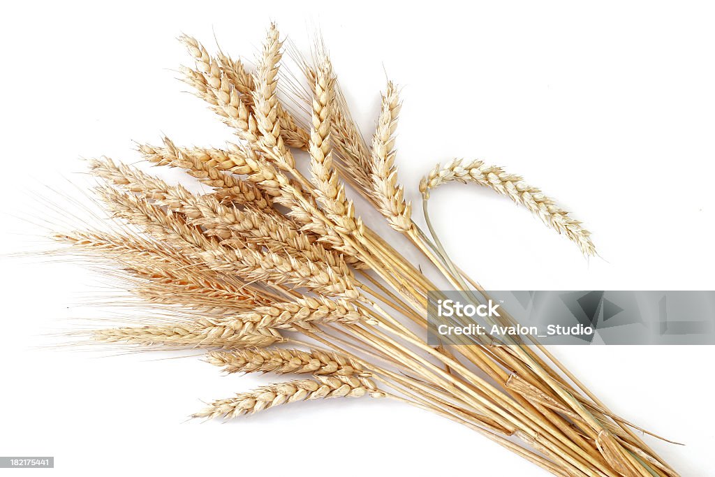 Wheat - Royalty-free Trigo Foto de stock