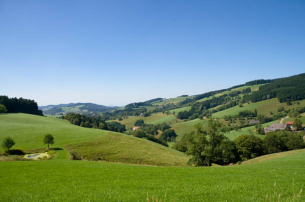 istock Green field with trees landscape 182175559
