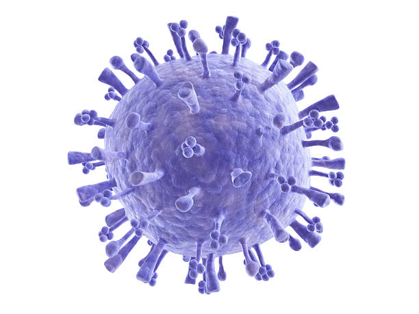 suina influenza a (h1n1 - influenza a virus foto e immagini stock