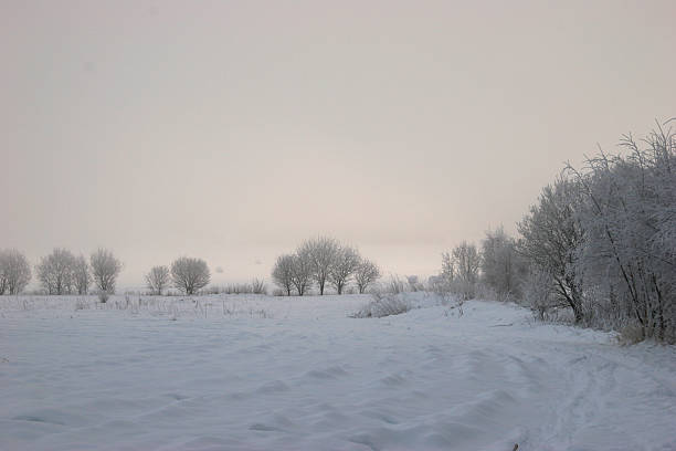 Snowy fields stock photo