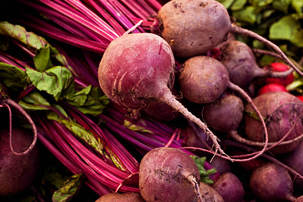 beets - betterave photos et images de collection