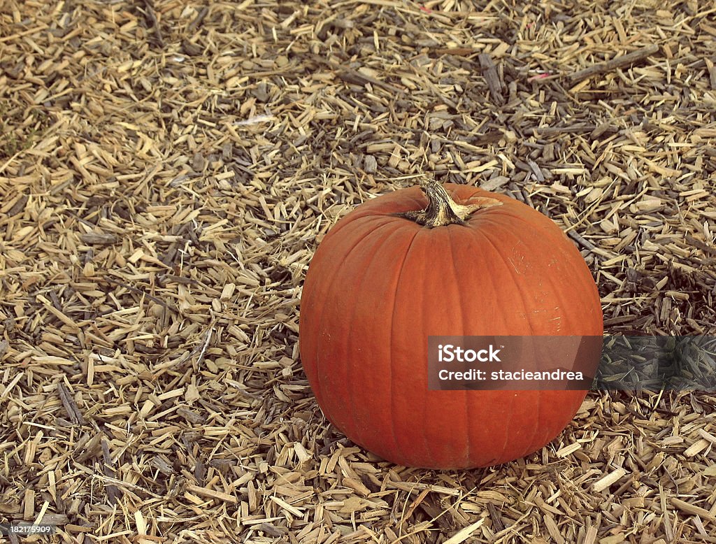 pumkin perfeito - Foto de stock de Destino turístico royalty-free