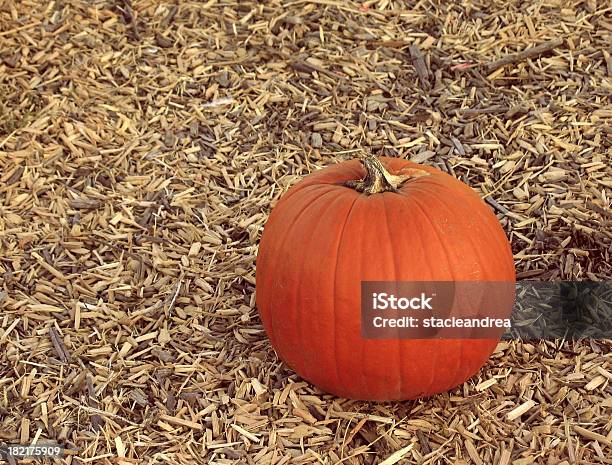 Foto de Pumkin Perfeito e mais fotos de stock de Destino turístico - Destino turístico, Fotografia - Imagem, Fábrica