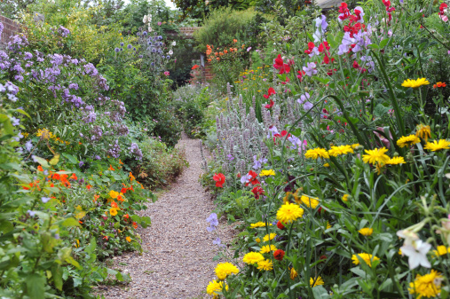 A beautiful English Walled Garden in AugustUK
