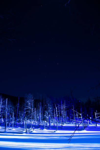 istock Illuminated winter lake in Biei 1821767879