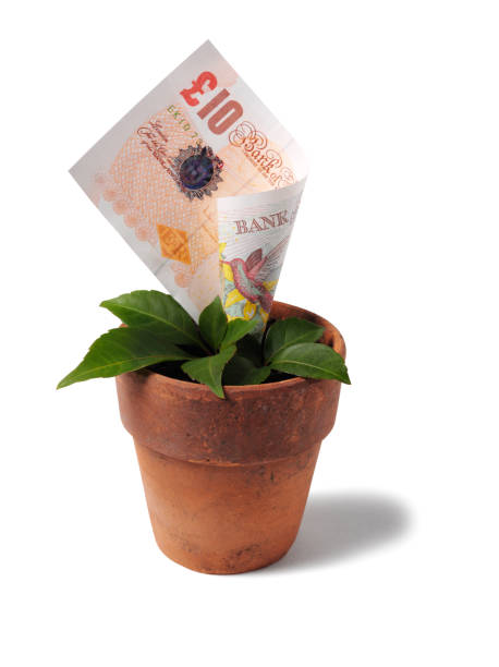 creciente billete de diez libras en una planta de cuba - money doesnt grow on trees money tree wealth paper currency fotografías e imágenes de stock