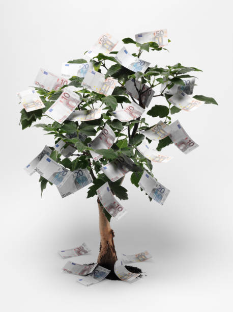 árbol de dinero euro - money doesnt grow on trees money tree wealth paper currency fotografías e imágenes de stock