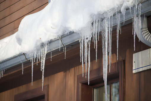 Crystalline and glistening icicles which have been formed due to the freezing weather conditions, hanging from the edge of a brown wooden residential house's roof