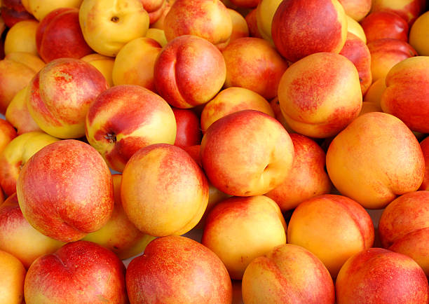 nectarina - peach nectarine fruit portion imagens e fotografias de stock