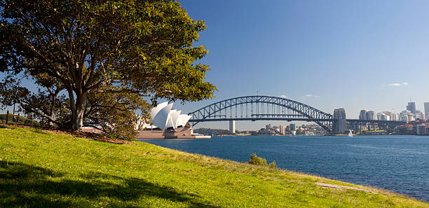 istock Sydney Harbour In The Sun 182177713