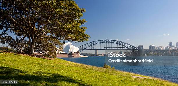 Sydney Harbour W Słońcu - zdjęcia stockowe i więcej obrazów Sydney Opera House - Sydney Opera House, Drzewo, Most - Konstrukcja wzniesiona przez człowieka