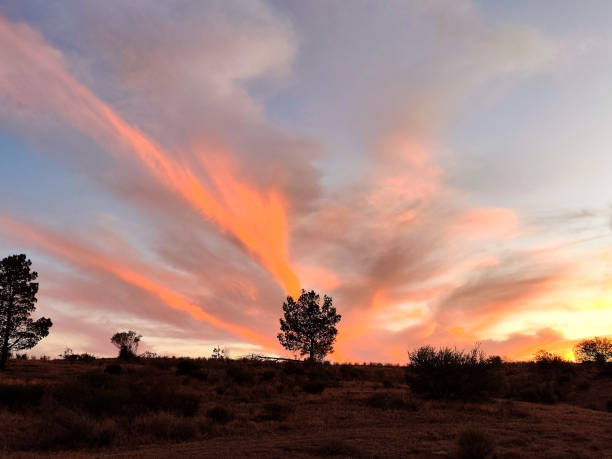istock Dusk in Flinders Ranges National Park, South Australia 1821778596