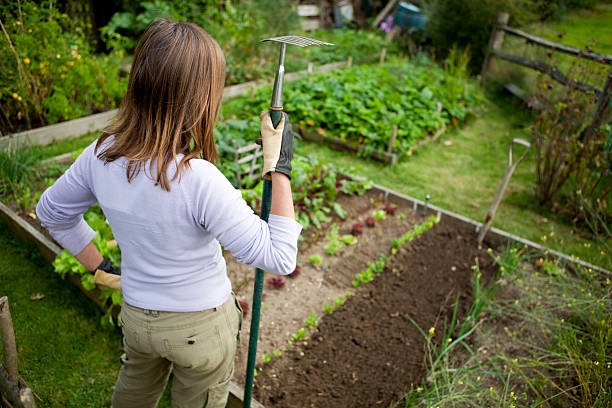 istock Woman Holding Rake in Vegetable Garden 182178031