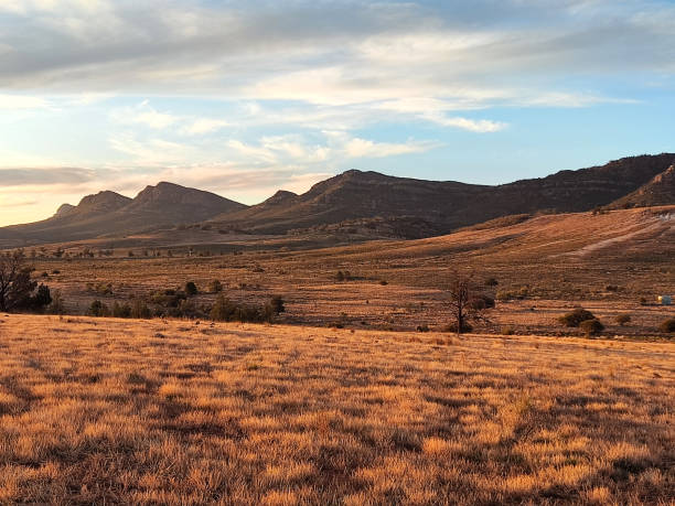 istock Flinders Ranges National Park at sunset, South Australia 1821780922