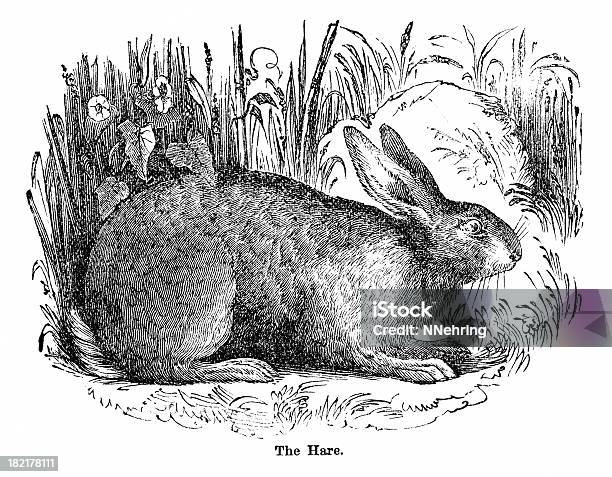 野ウサギの彫りこみ文字 - ノウサギのベクターアート素材や画像を多数ご用意 - ノウサギ, 彫り込み, 彫刻画