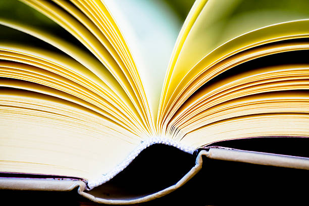 istock Book close up, outdoors 182178190