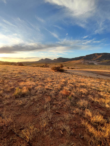 istock Flinders Ranges National Park at sunset, South Australia 1821782295