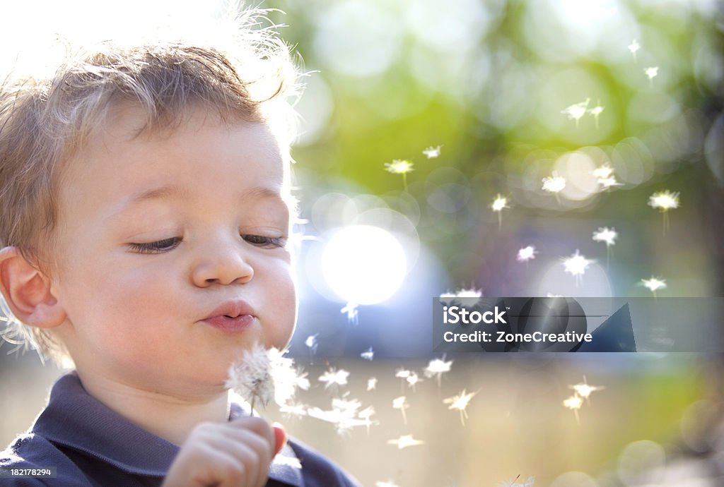 Schönen blonden Kind Blasen Löwenzahn im Freien - Lizenzfrei Löwenzahn - Korbblütler Stock-Foto