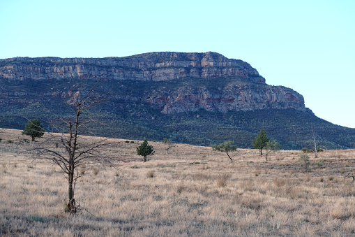 Rawnsley Bluff, a geological feature in Flinders Ranges National Park viewed at sunset from Station Hill Lookout. The Flinders Ranges are the largest mountain ranges in South Australia.