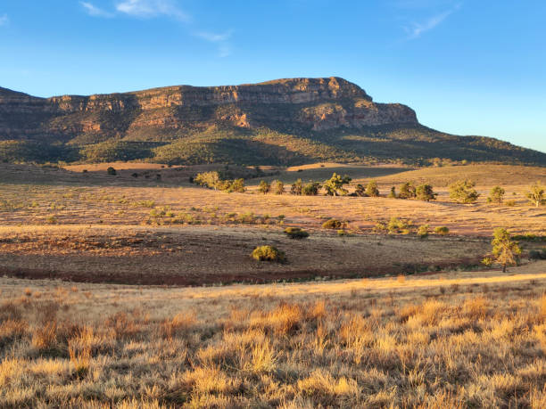 istock Rawnsley Bluff, Flinders Ranges National Park, South Australia 1821784933