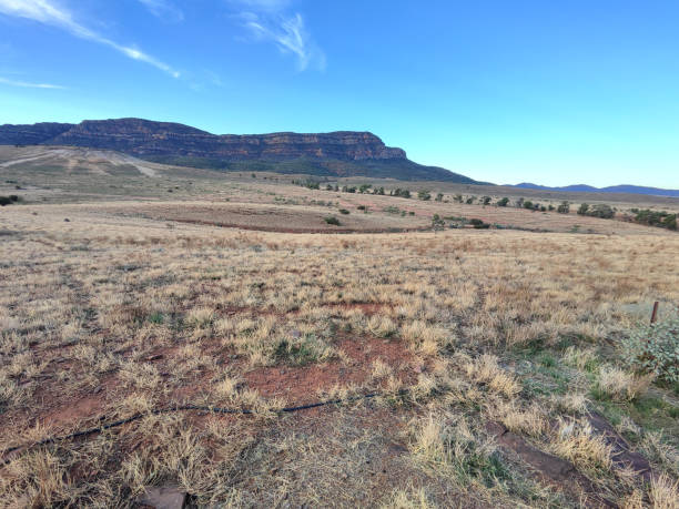istock Rawnsley Bluff, Flinders Ranges National Park, South Australia 1821786479