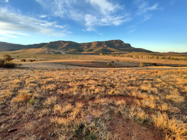 istock Rawnsley Bluff, Flinders Ranges National Park, South Australia 1821786515
