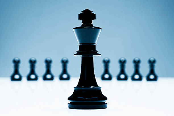 istock Chess king stands in front of  pawns, leading the pack 182178707