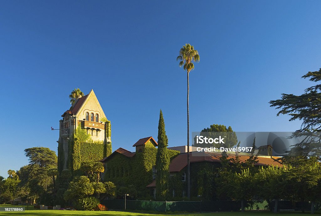 San Jose State University Buildings and a palm tree in San Jose State University in Downtown San Jose San Jose State University Stock Photo