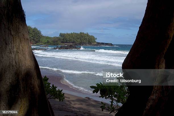 Surfingu Z Maui - zdjęcia stockowe i więcej obrazów Bez ludzi - Bez ludzi, Drzewo, Fala przybrzeżna