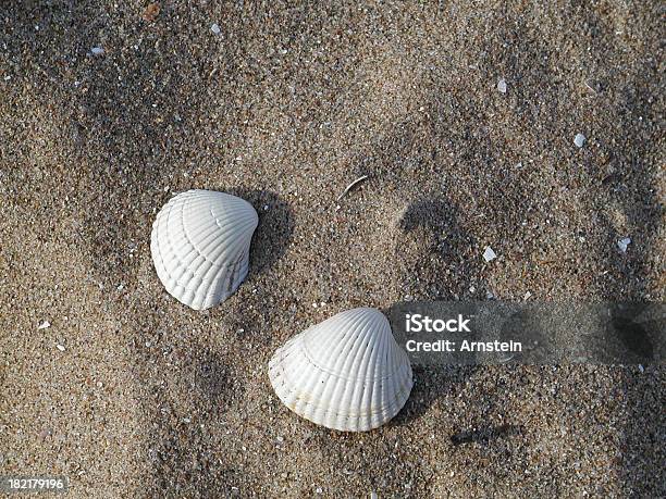 Zwei Jacken In Den Weichen Sand Stockfoto und mehr Bilder von Braun - Braun, Fotografie, Horizontal