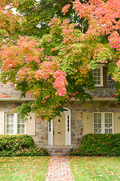istock An old house under the trees in autumn 182179233