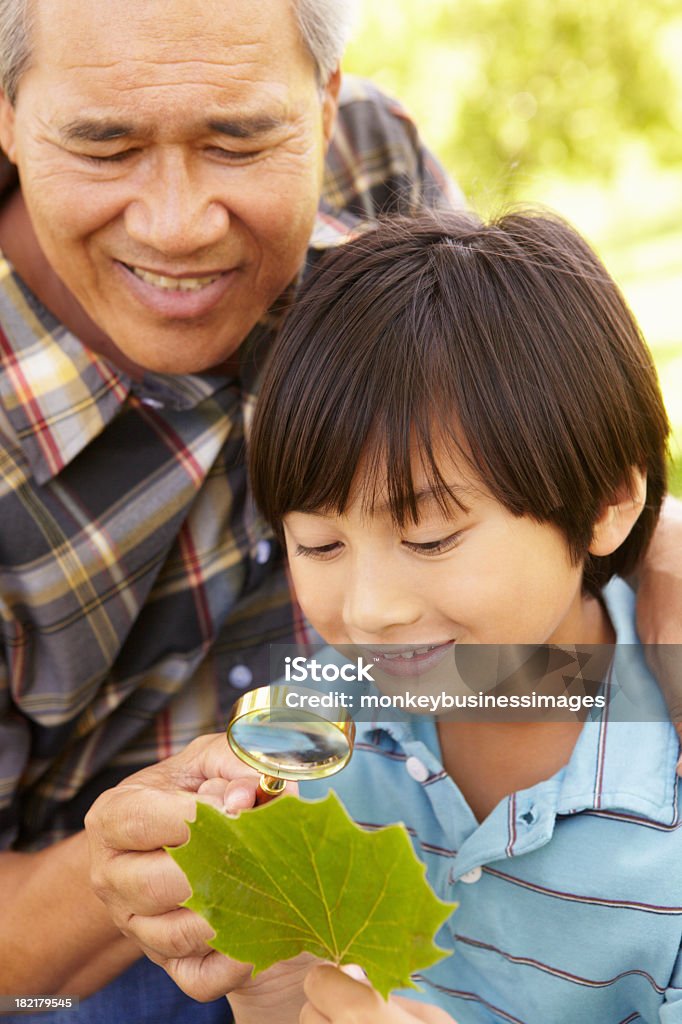 Boy and grandfather examining leaf Boy and grandfather examining leaf at the park Filipino Ethnicity Stock Photo