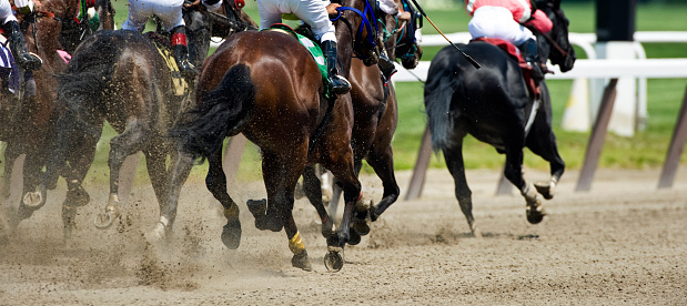 Horse racing on a dirt track as they head down the front stretch to the finish line. 