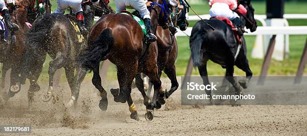 Horse Racing Down The Stretch They Come Stock Photo - Download Image Now - Horse Racing, Horse, Racehorse
