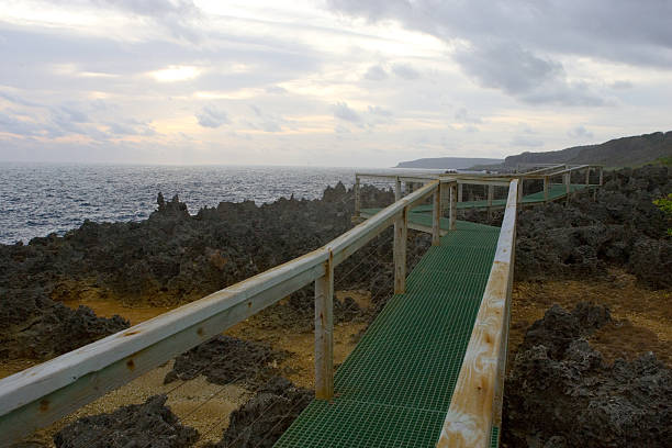 christmas island australia pathway over lava volcanic landscape - julön bildbanksfoton och bilder