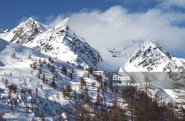 Photo libre de droit de Snowy Mountains banque d'images et plus d'images libres de droit de Arbre - Arbre, Colline, Compétition