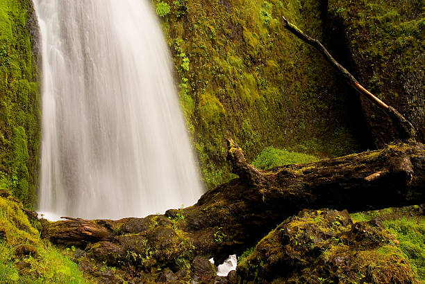 Chutes de Wahkeena - Photo