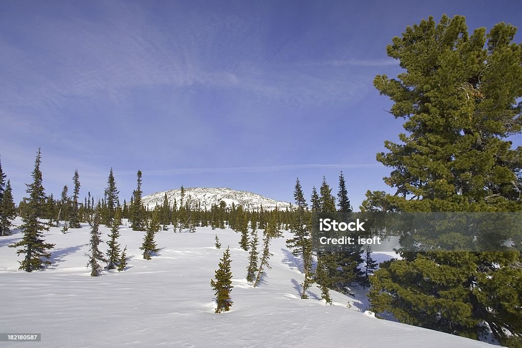 Sheregesh. Soportes de siberia - Foto de stock de Aire libre libre de derechos