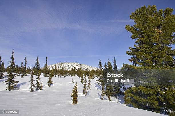 Sheregesh Monta Siberiano - Fotografias de stock e mais imagens de Alpes Europeus - Alpes Europeus, Alto - Descrição Física, Ao Ar Livre