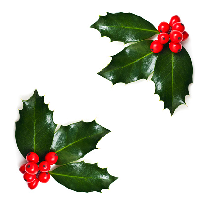 Christmas Holly corners. Isolated, selective focus. SEE MY CHRISTMAS LIGHTBOX FOR MANY VARIATIONS AND IMAGES!