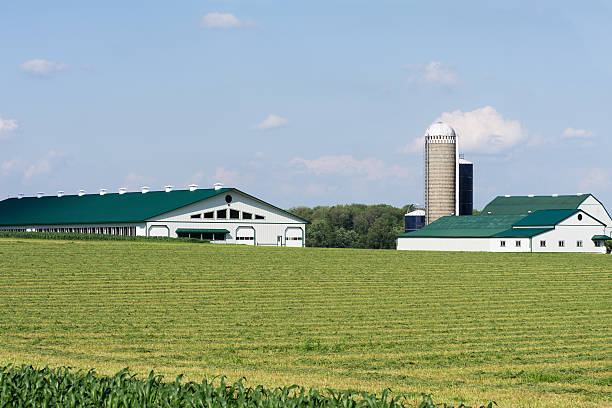 istock Green and White Dairy Farm 182181939