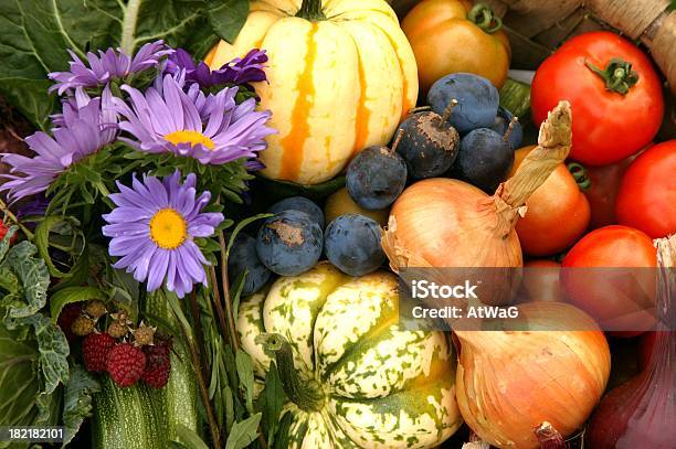 Frutas E Flores - Fotografias de stock e mais imagens de Abundância - Abundância, Abóbora, Alimentação Saudável