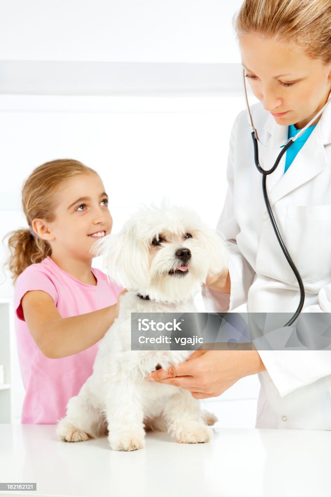 Hembra veterinario a cargo de un médico little girl'perro - Foto de stock de 30-34 años libre de derechos