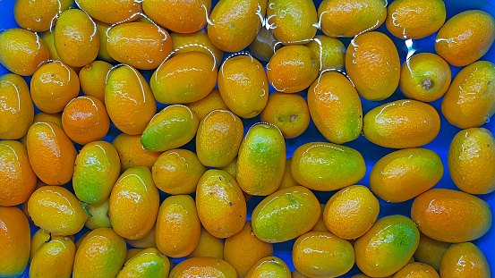 Varied group of citrus fruits closeup oranges tangerines lime lemon and  grapefruit isolated on white background
