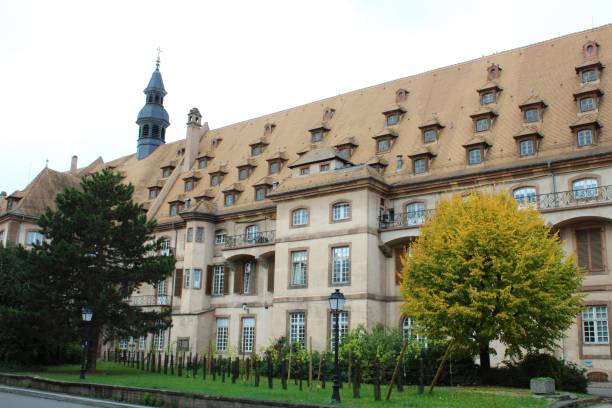 istock Strasbourg in France 1821824134