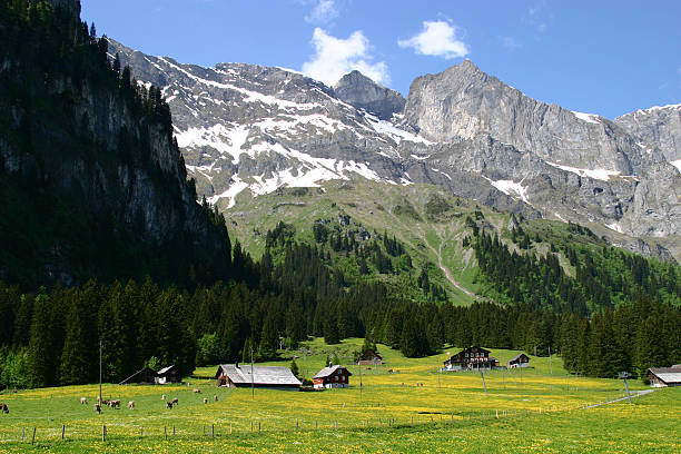 Swiss fazendas - foto de acervo