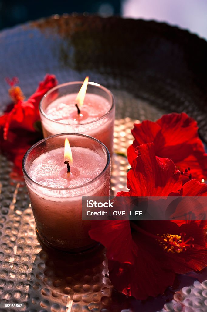 Hibiscus et bougies - Photo de Arbre en fleurs libre de droits