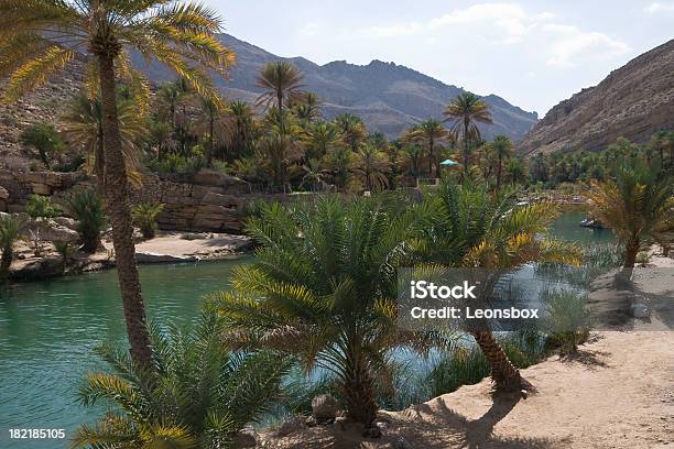 Wadi Bani Khalid Oman - zdjęcia stockowe i więcej obrazów Wadi Bani Khalid - Wadi Bani Khalid, Arabia, Azja Zachodnia